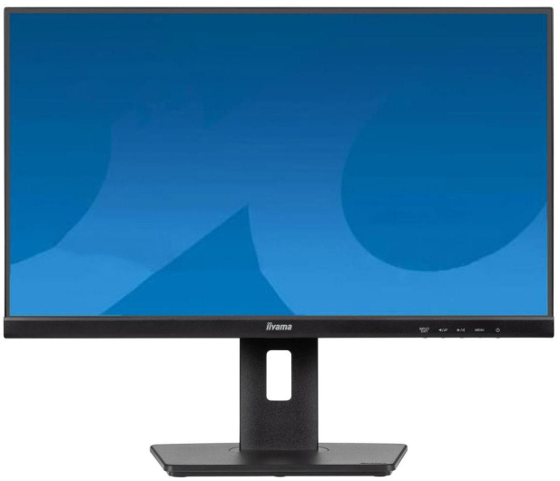 iiyama ProLite XUB2491H-B1 - 1293312 - zdjęcie